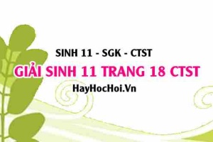 Giải Sinh 11 trang 18 Chân trời sáng tạo SGK